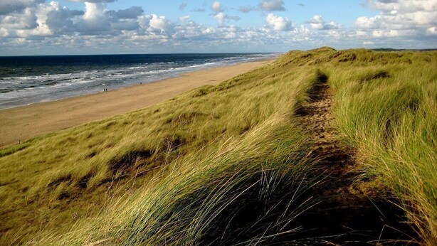 A beach with grassy dunes and the ocean in the background.