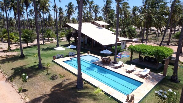 A swimming pool with lounge chairs and umbrellas, surrounded by palm trees and a small building.