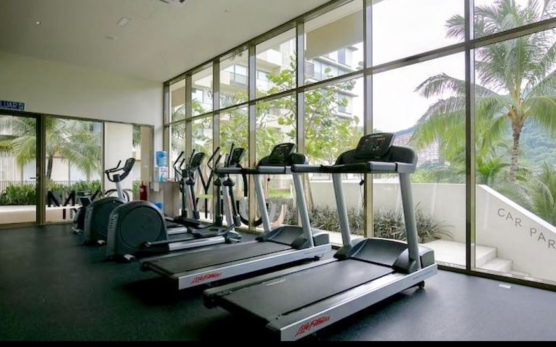 A gym with treadmills and stationary bikes, large windows, and a view of palm trees.