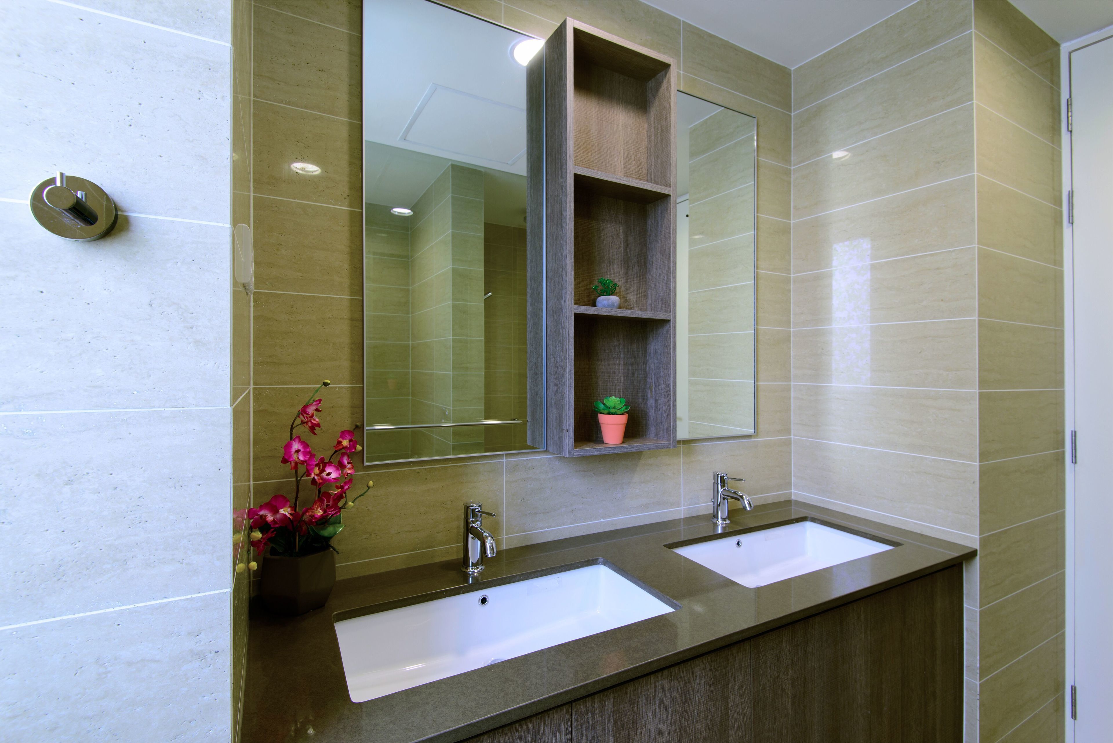 A bathroom with two sinks, a mirror, and a shelf with a plant.