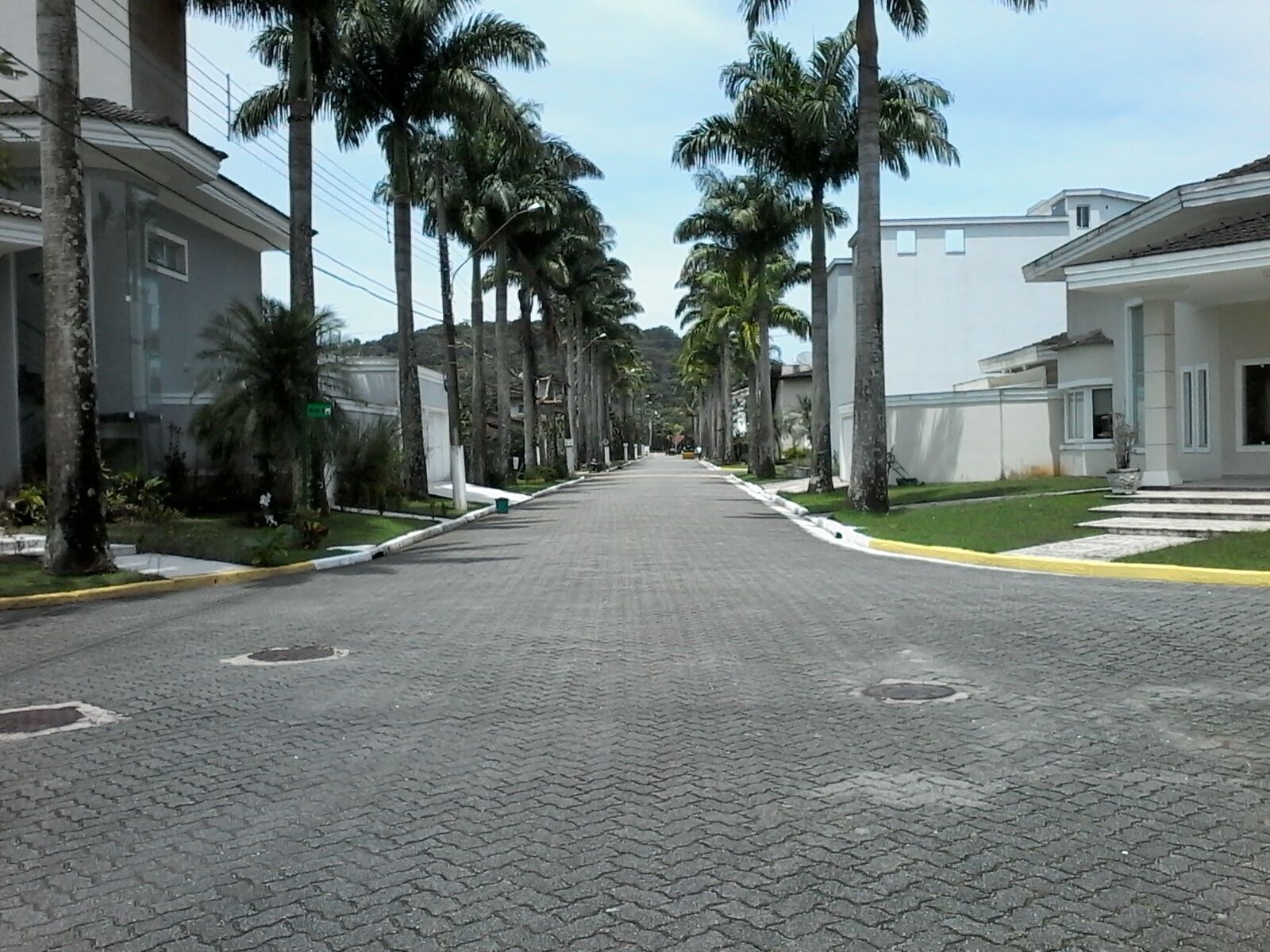 A paved street lined with palm trees and modern buildings.