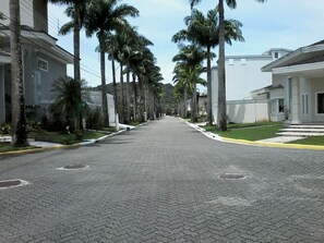 A paved street lined with palm trees and modern buildings.