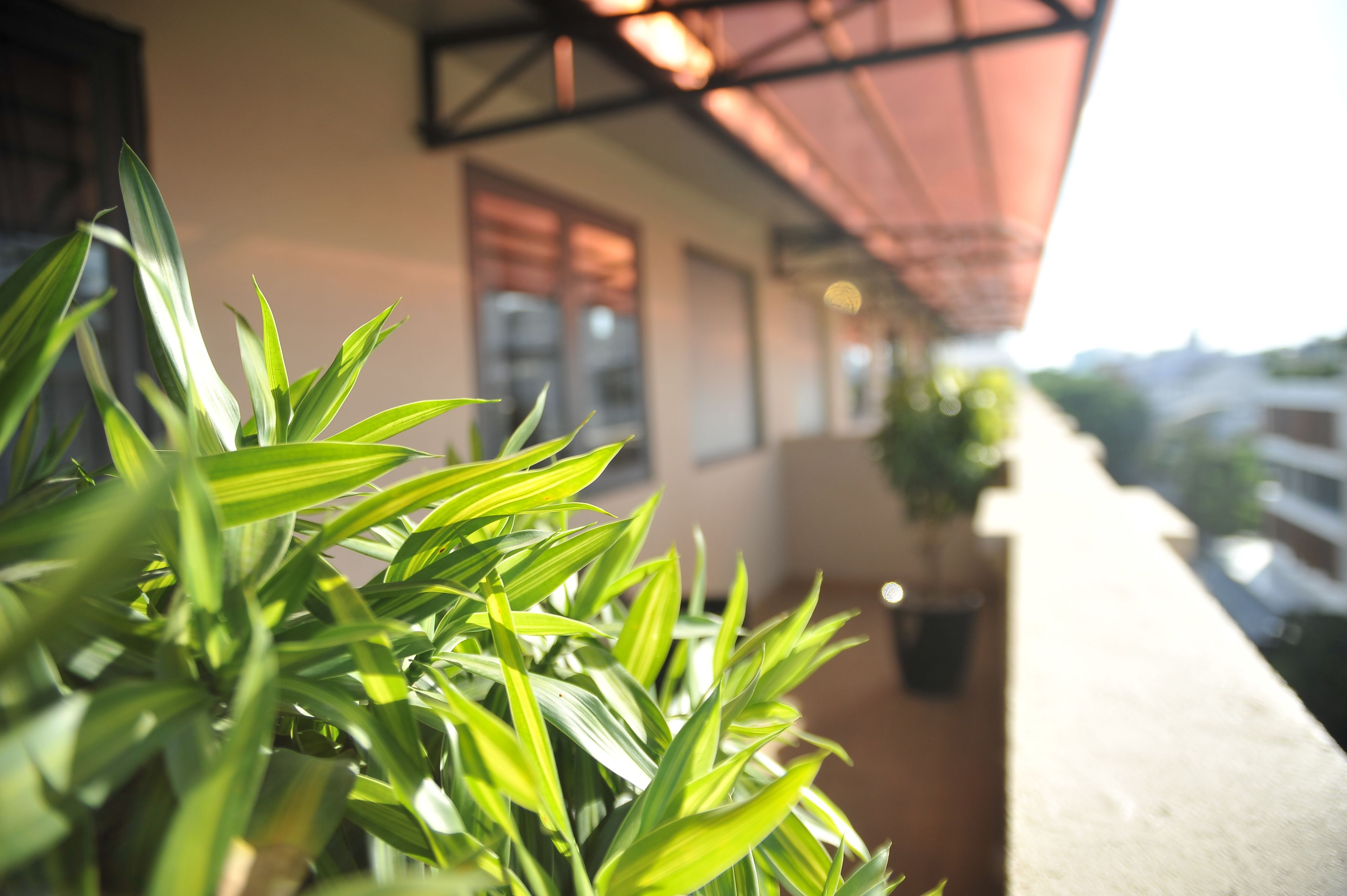 Foto - Imperial Saigon hotel