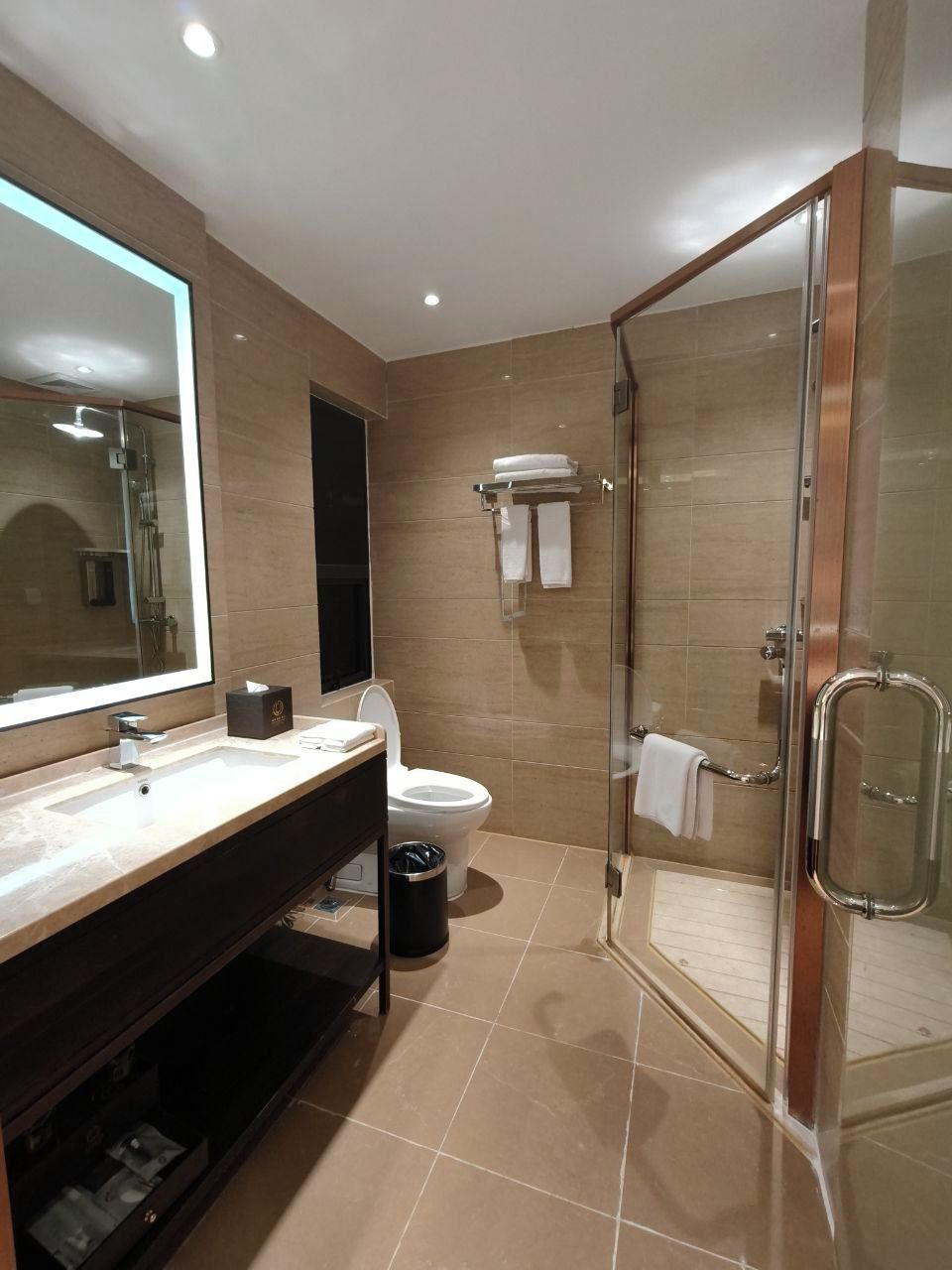 A modern bathroom with a glass-enclosed shower, a large mirror, a vanity with a sink, and a toilet.