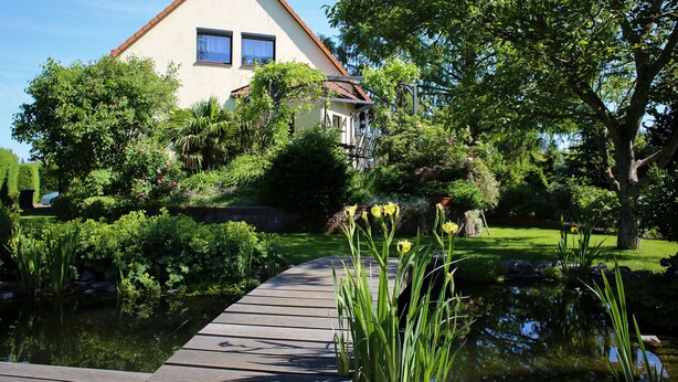 Eksteriør