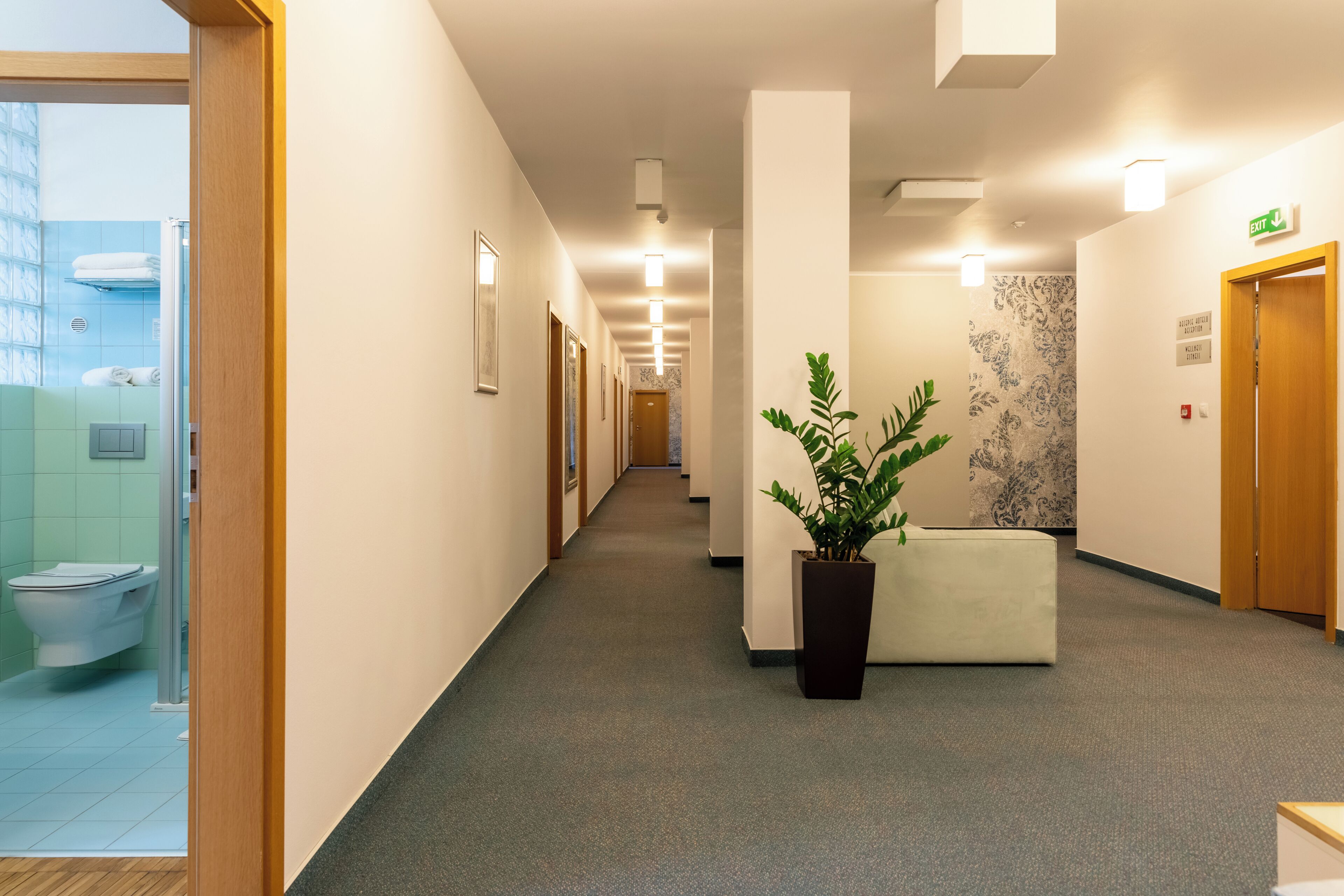 Pasillo de hotel con un largo corredor, un mostrador de recepción, una planta en maceta y una señal de salida.