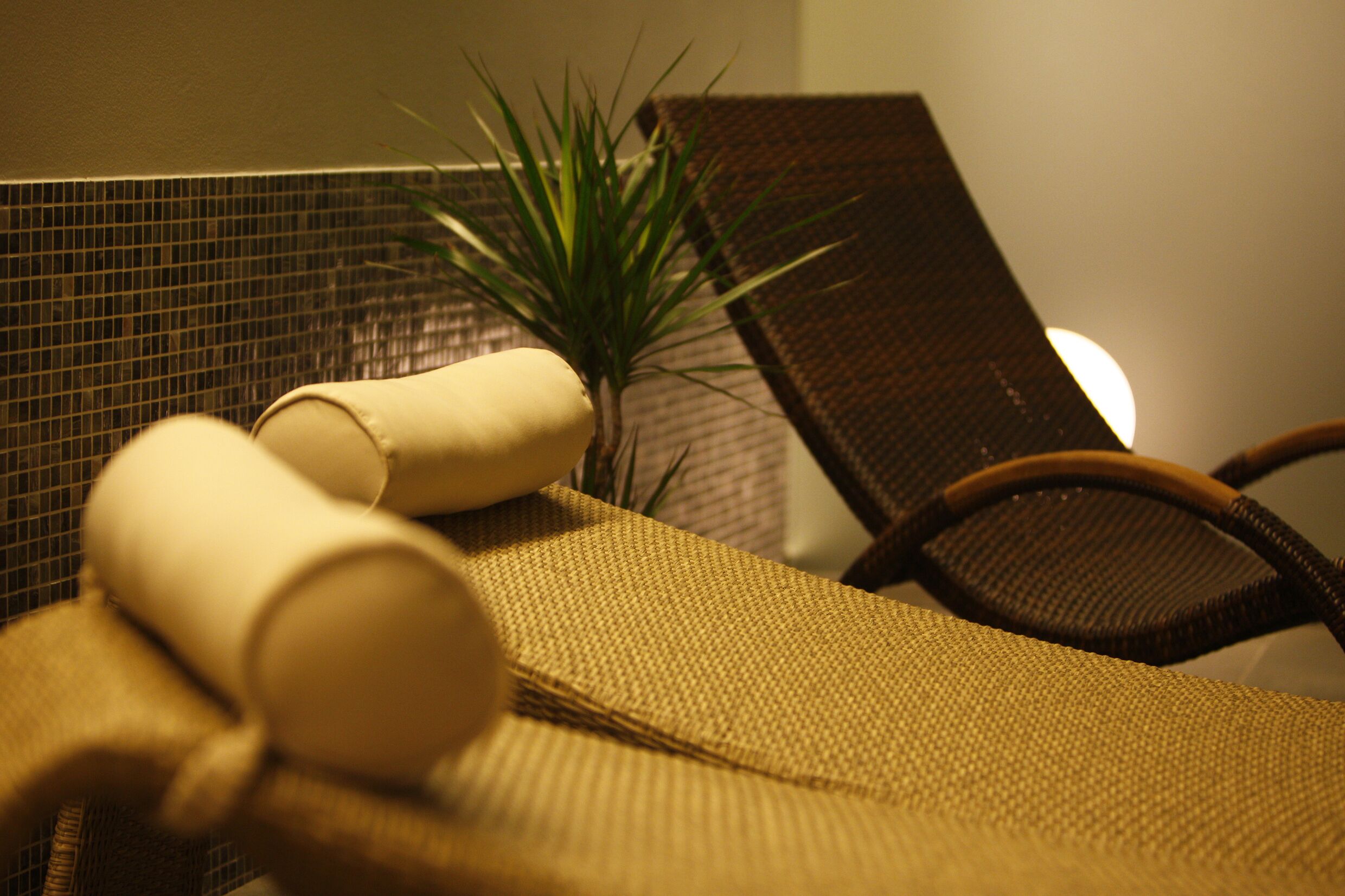 A close-up of a textured fabric surface, possibly a towel or blanket, with a rolled-up item and a plant in the background.