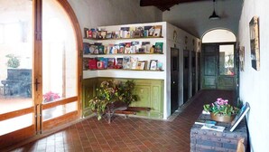 Un pasillo con una puerta de madera, una estantería y una planta en maceta.