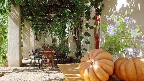 Un patio con mesa y sillas, rodeado por una pérgola cubierta de follaje.