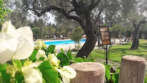 Un área de piscina con cercado de madera, un banco y un árbol grande.