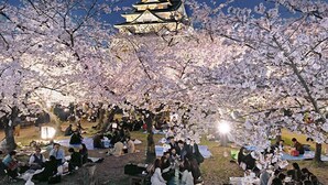 A traditional Japanese building with multiple tiers, surrounded by cherry blossom trees. - YADO at Shinsaibashi Namba ExMin (Osaka)