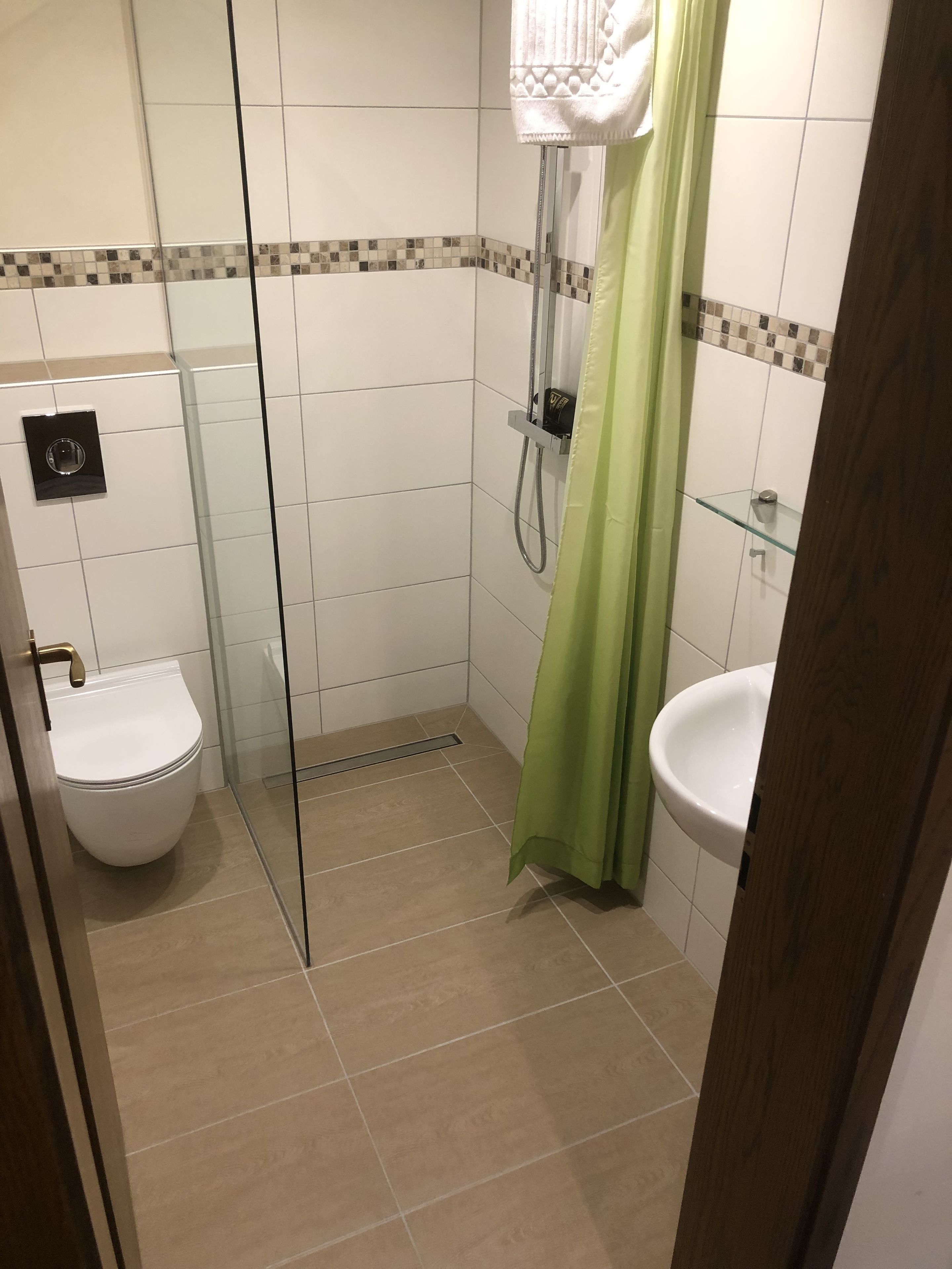 single room | bathroom | towels, toilet paper