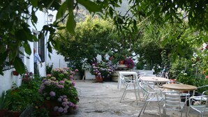 An outdoor patio with potted plants and metal chairs. - Hostal Las Terrazas de la Alpujarra (Bubion)