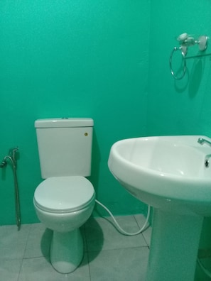 A bathroom with a white toilet and sink, a green wall, and a shower hose. - wish prabha lake view lodge (Sigiriya)