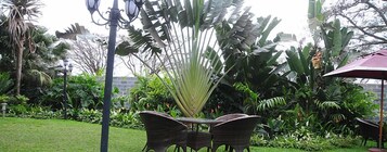 Vista desde la habitación