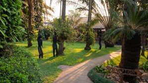 A pathway leading through a garden with statues and a sign that reads "RECEPTION". - Sherbourne Lodge (Kitwe)
