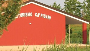 A red building with the text "MUSTURISMO CA'PISANI" on its side, surrounded by trees and grass. - Agriturismo Cà Pisani (Porto Viro)