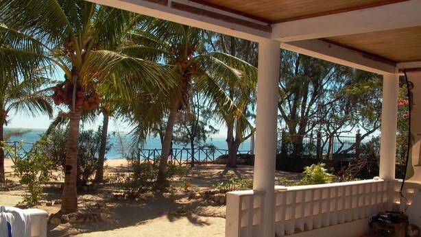 Un espacio al aire libre cubierto con vista a la playa y palmeras.