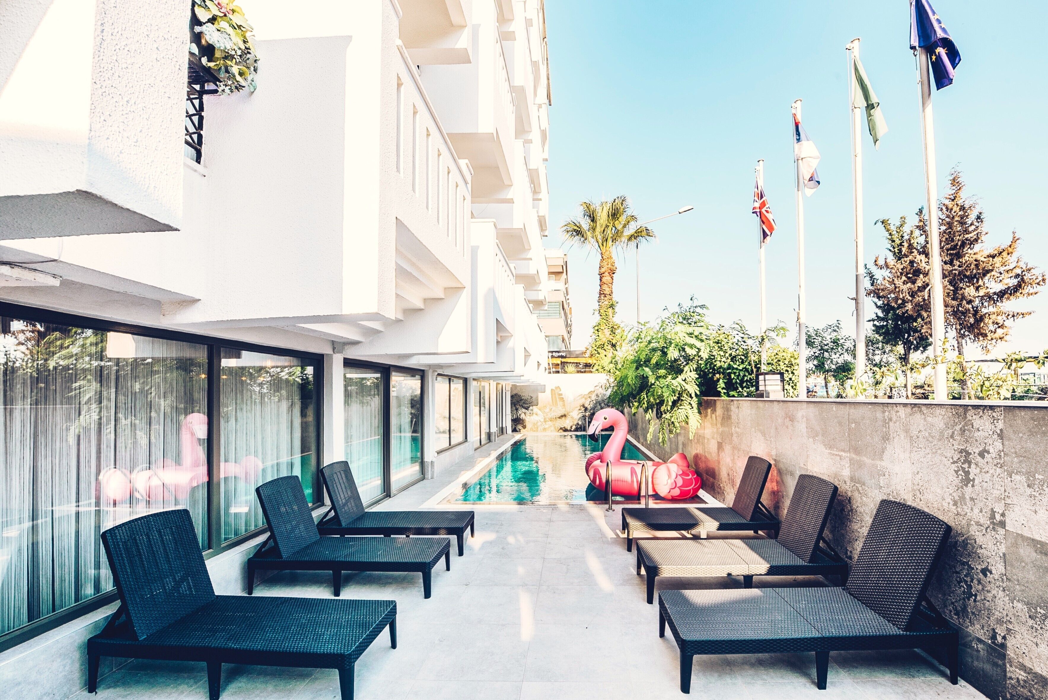 Foto - Royal City Hotel