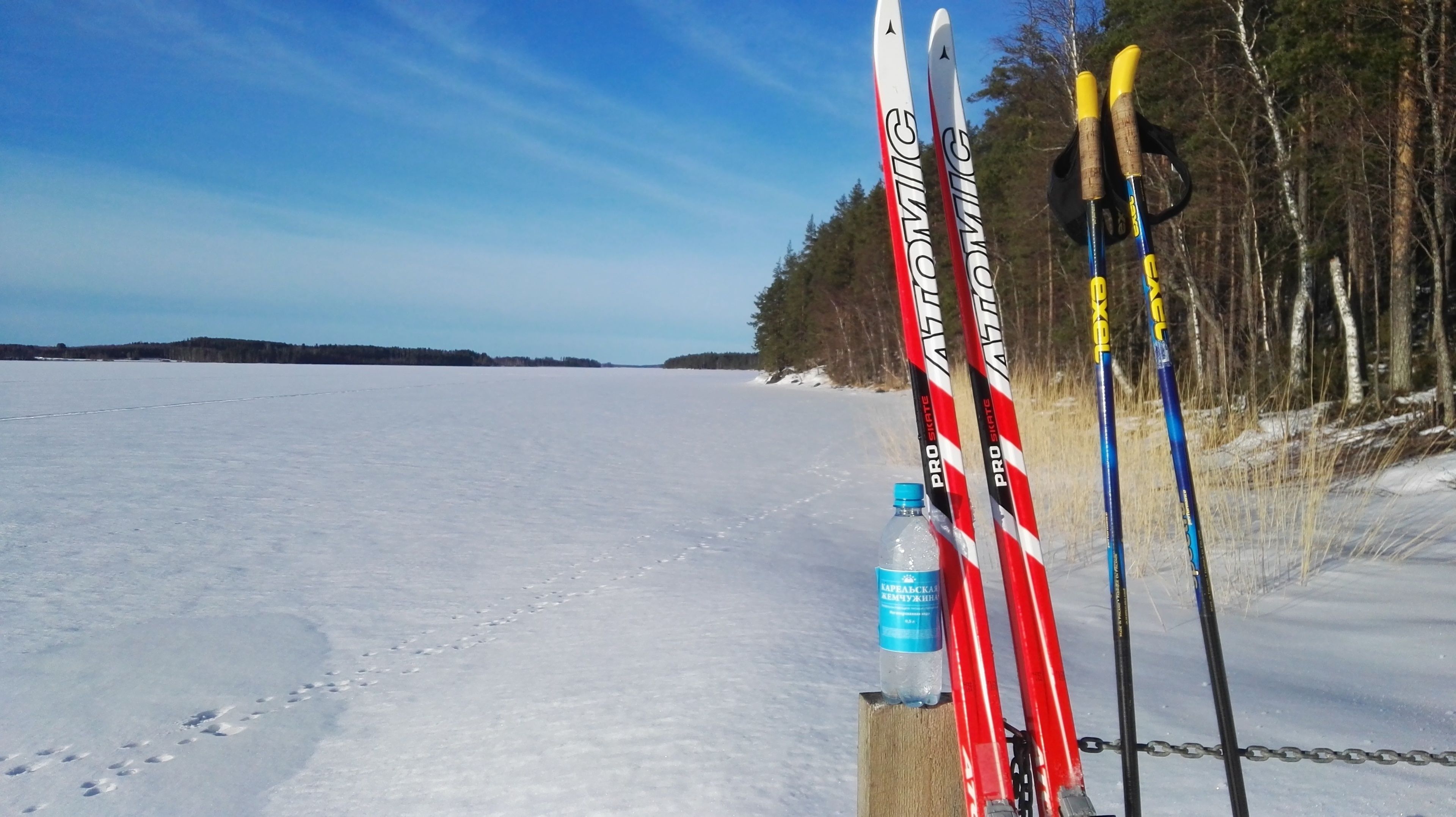 A pair of skis leaning against a wooden post, a bottle of water, and a chain-link fence in a snowy landscape.
