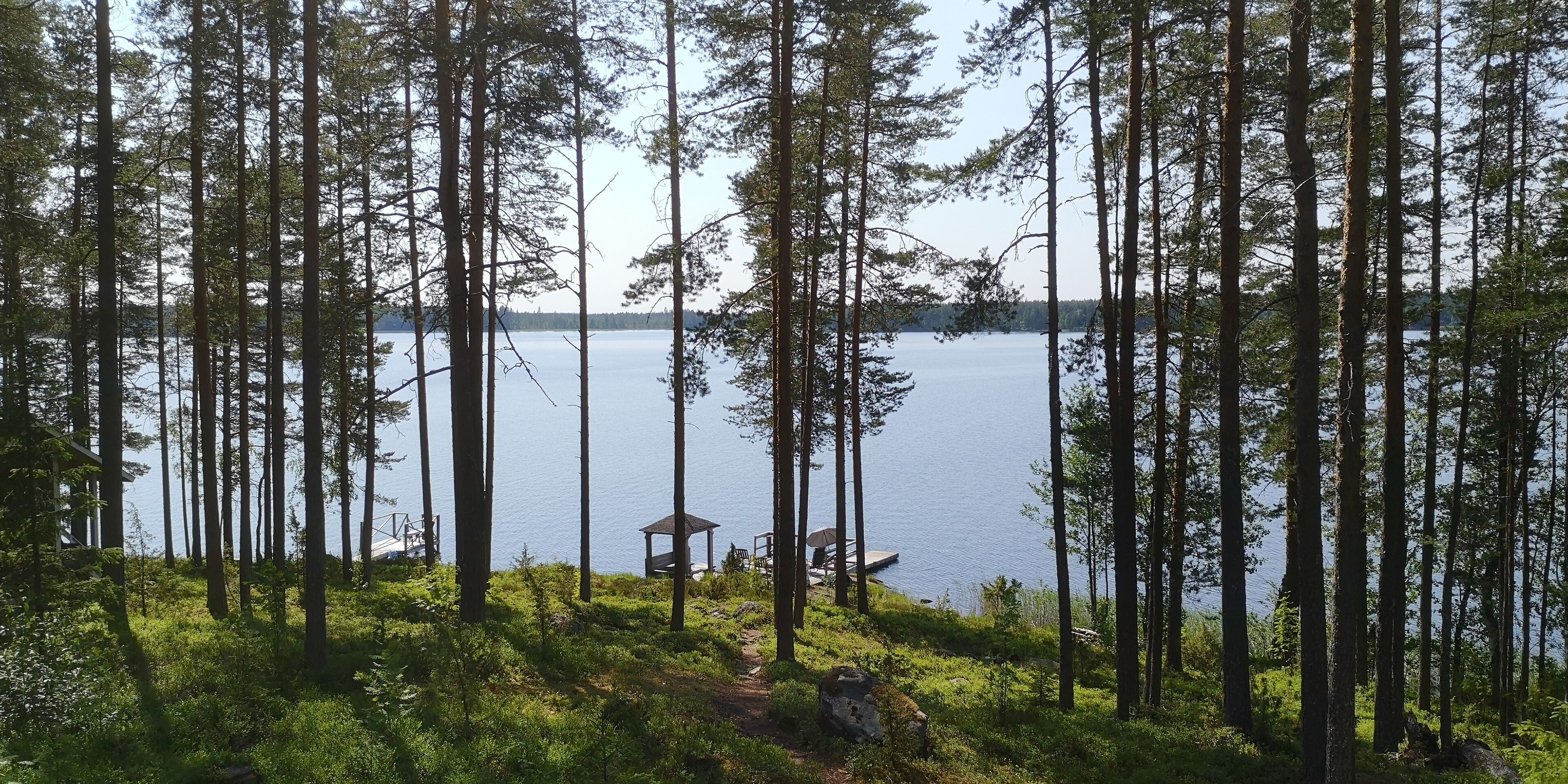 A forested area with a gazebo and a dock extending into a lake.