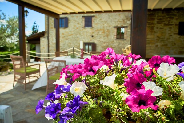 露台/庭院