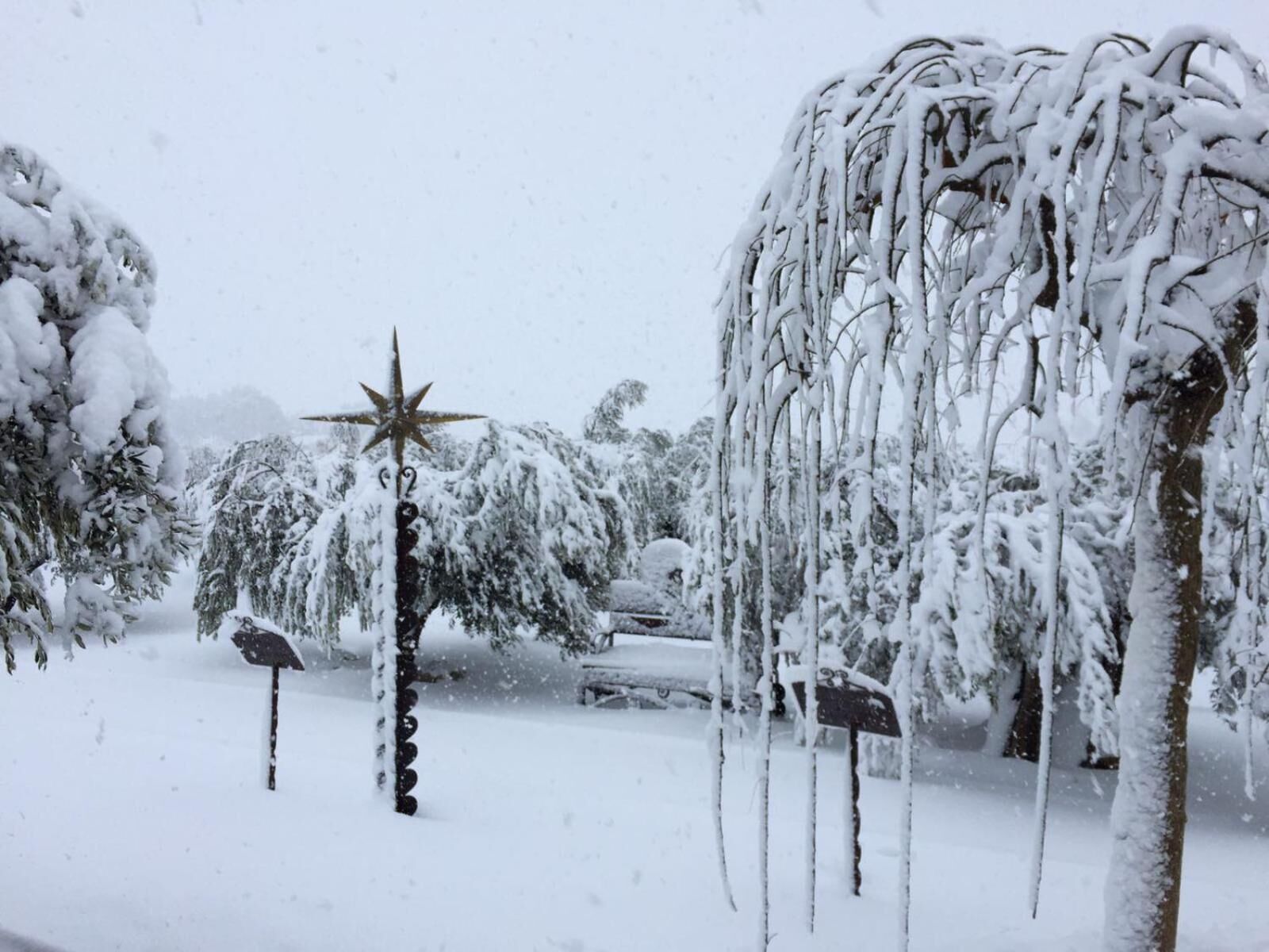 Foto - Hotel Caseta Nova