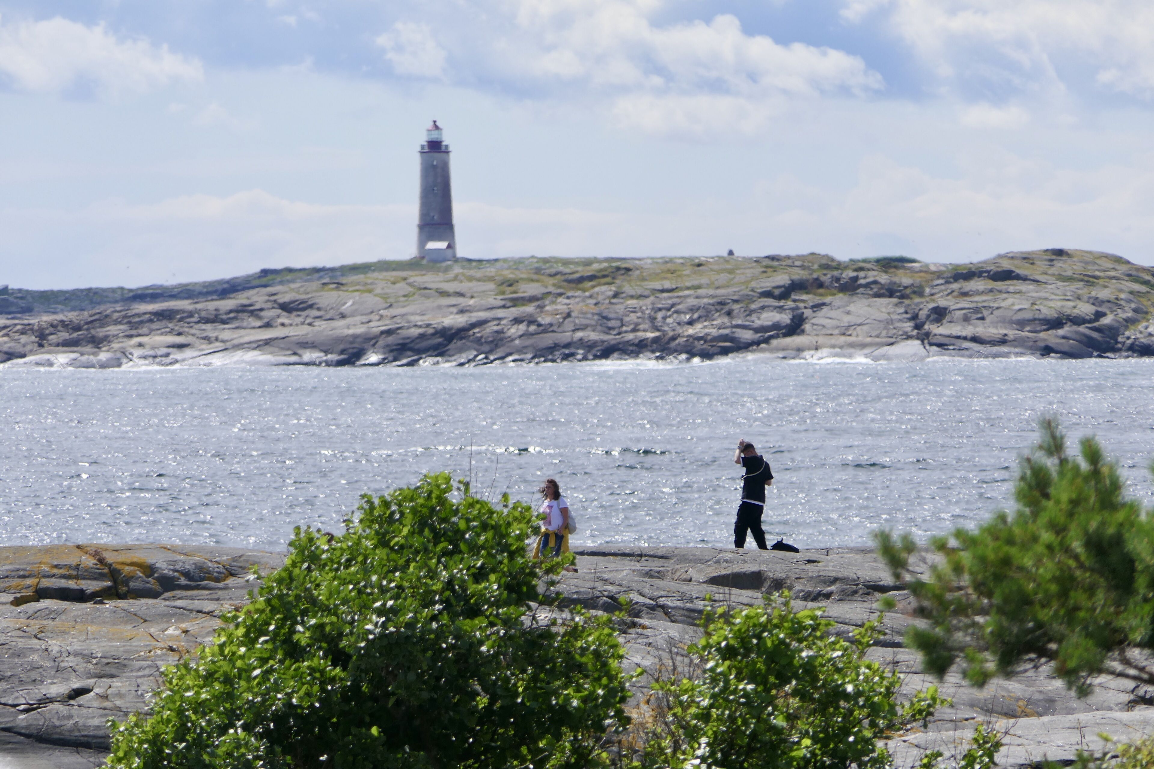 Eksteriør