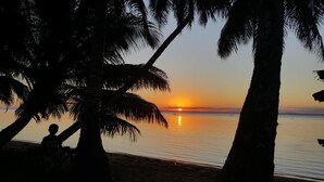 Une scène de plage avec des palmiers et un coucher de soleil sur l’eau.