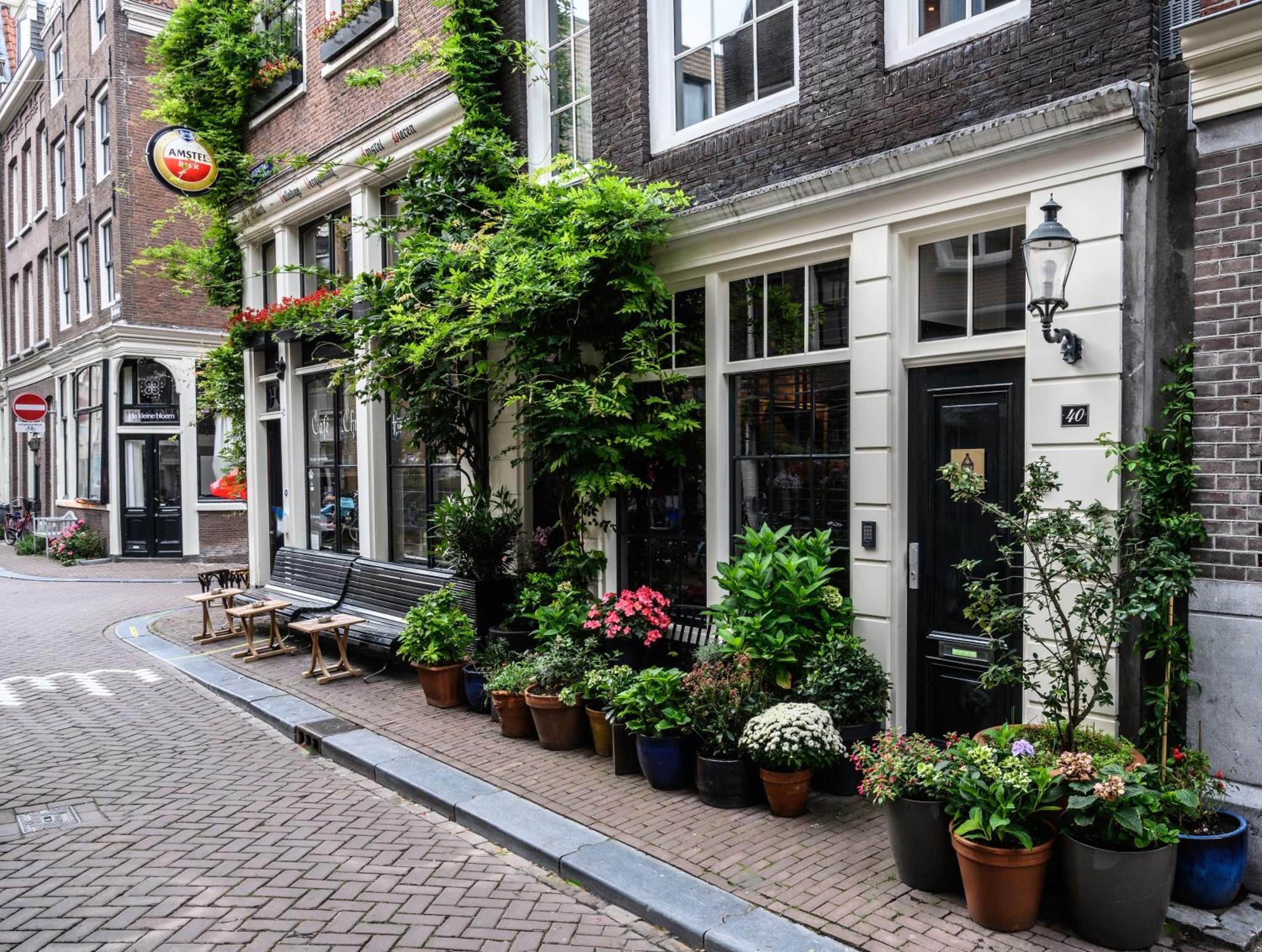 A row of traditional European buildings with a row of potted plants in front.
