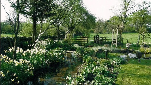 Jardines del alojamiento