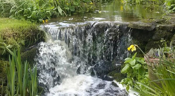 Jardines del alojamiento