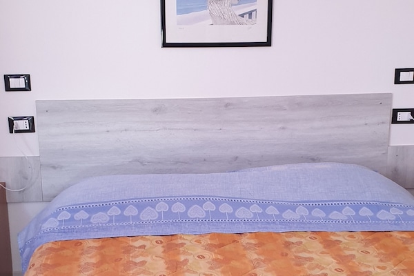 Basic Room, Private Bathroom | Meja, Wi-fi percuma, cadar katil