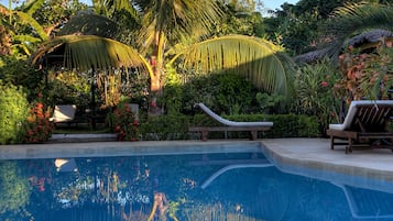 Una piscina al aire libre, sillones reclinables de piscina