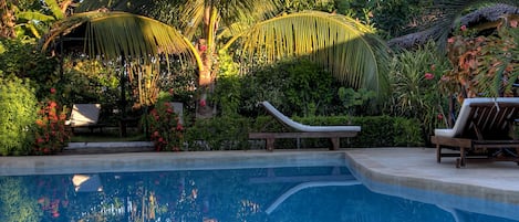 Outdoor pool, pool loungers