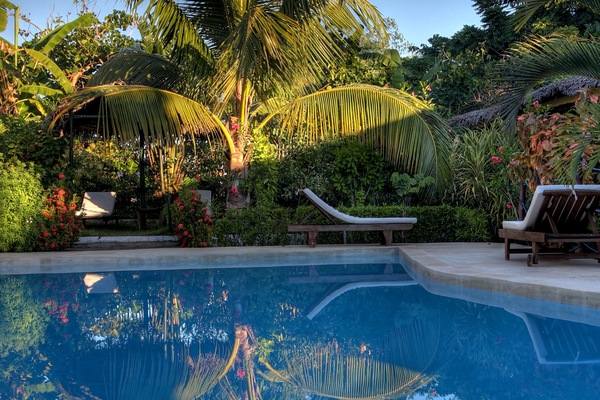 Outdoor pool, sun loungers