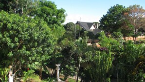 Un jardín exuberante con diversas especies de árboles y plantas, un sendero y un edificio con techo inclinado al fondo.