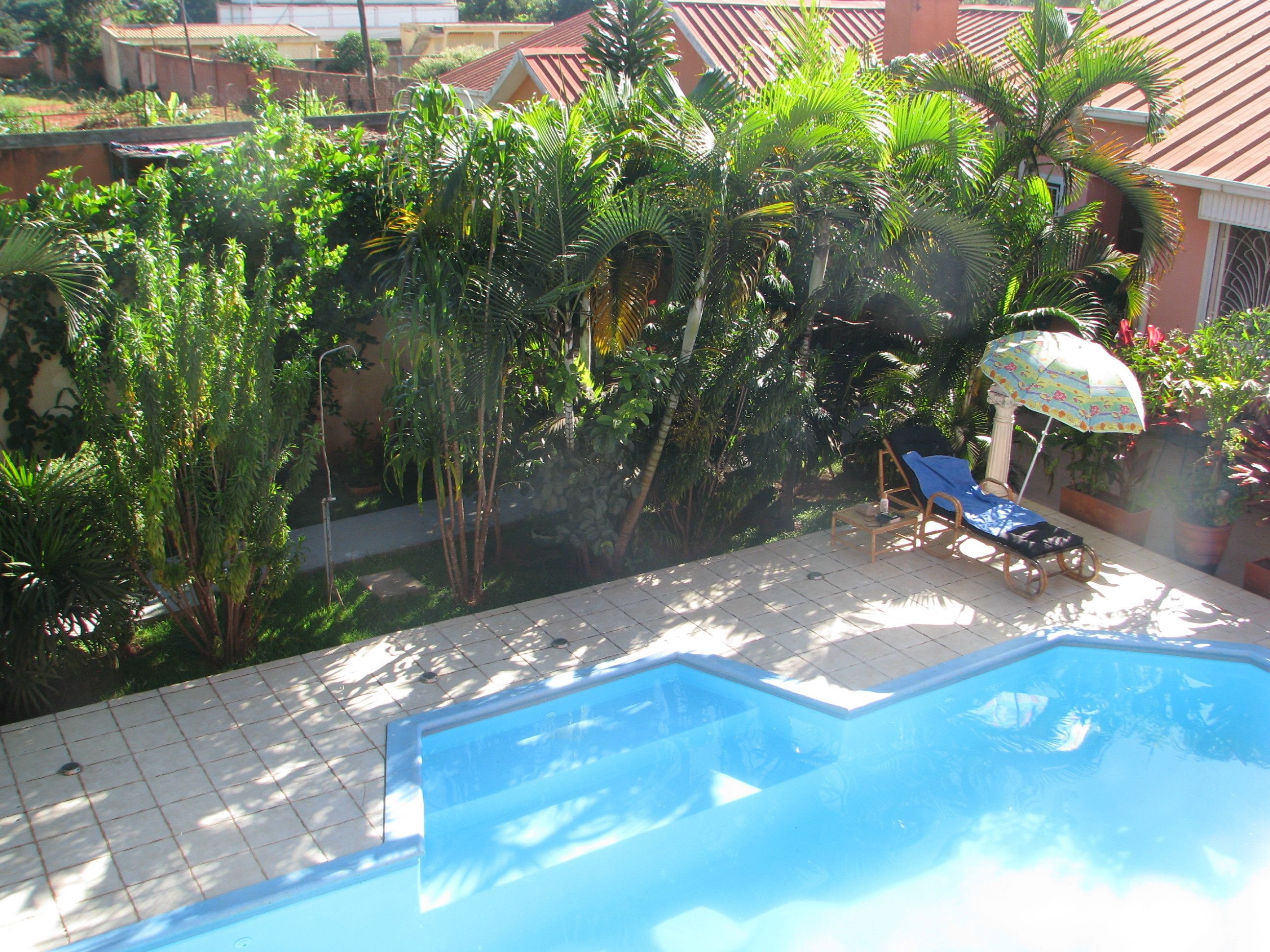 A swimming pool with a tiled deck, surrounded by lush greenery and a few potted plants.