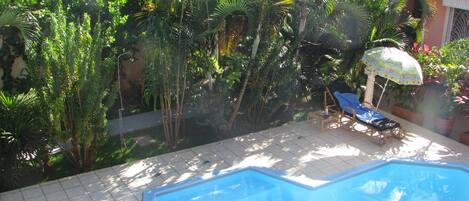 Una piscina con borde de azulejos, rodeada de abundante vegetación y algunas macetas.