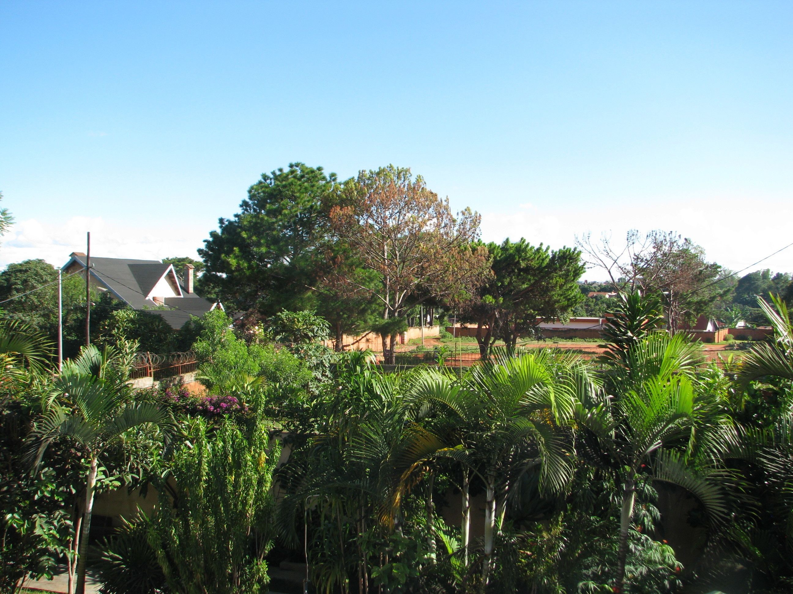 A residential area with a house, lush greenery, and a clear sky.