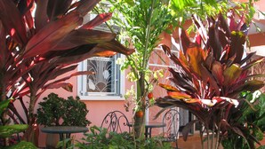 Un jardín interior con plantas en macetas, una mesa y sillas.