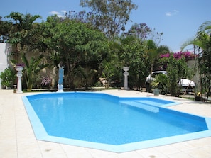 A swimming pool with a tiled deck, surrounded by lush greenery and a white car parked nearby.