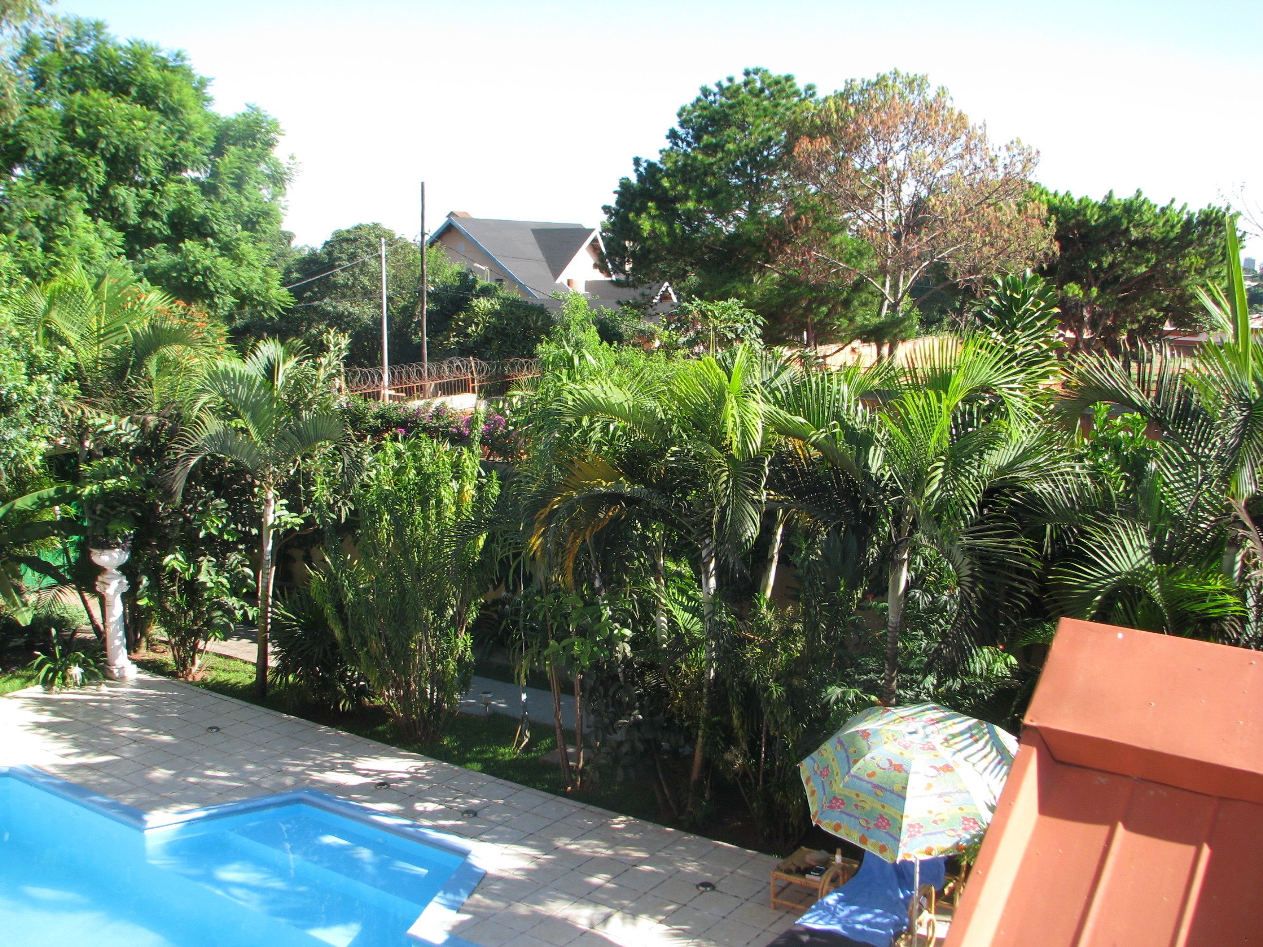 Una piscina con solarium de azulejos, rodeada de abundante vegetación y una casa al fondo.