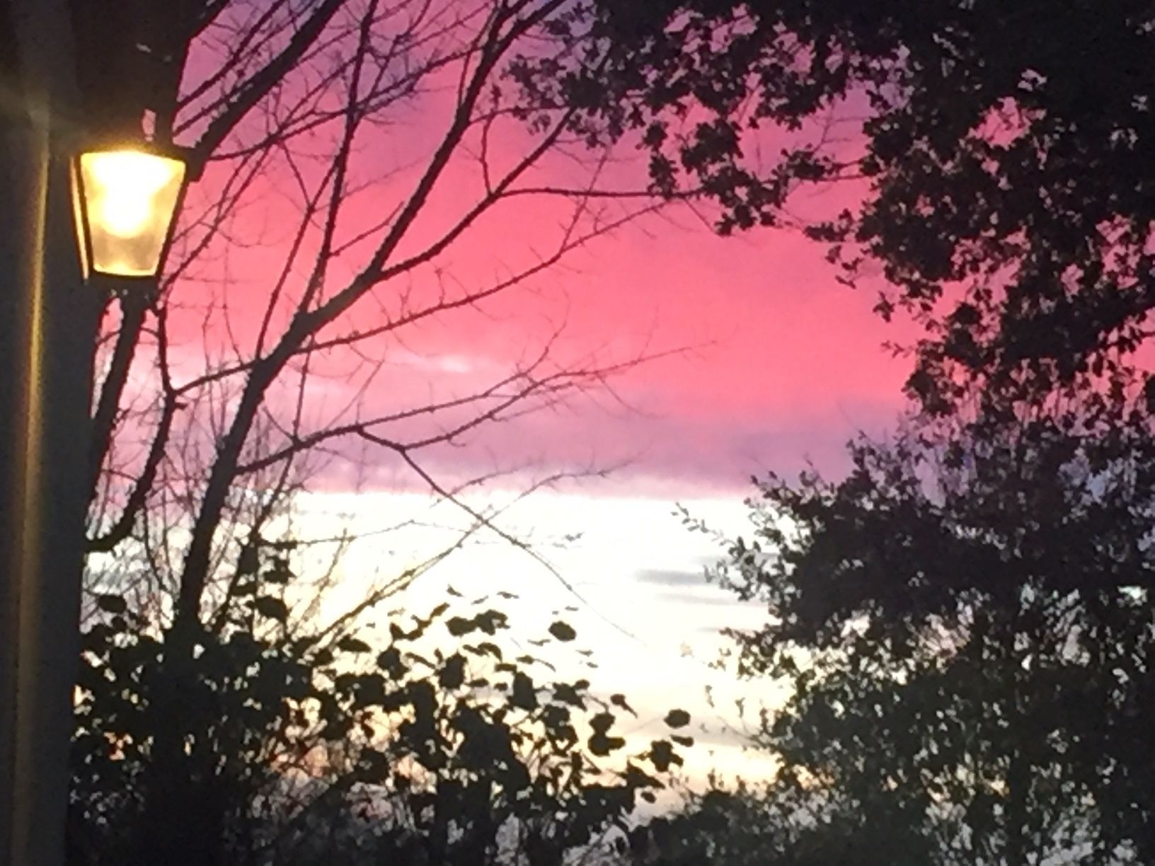 Vista a través de una ventana con árboles desnudos y una farola, con un cielo rosado al fondo.