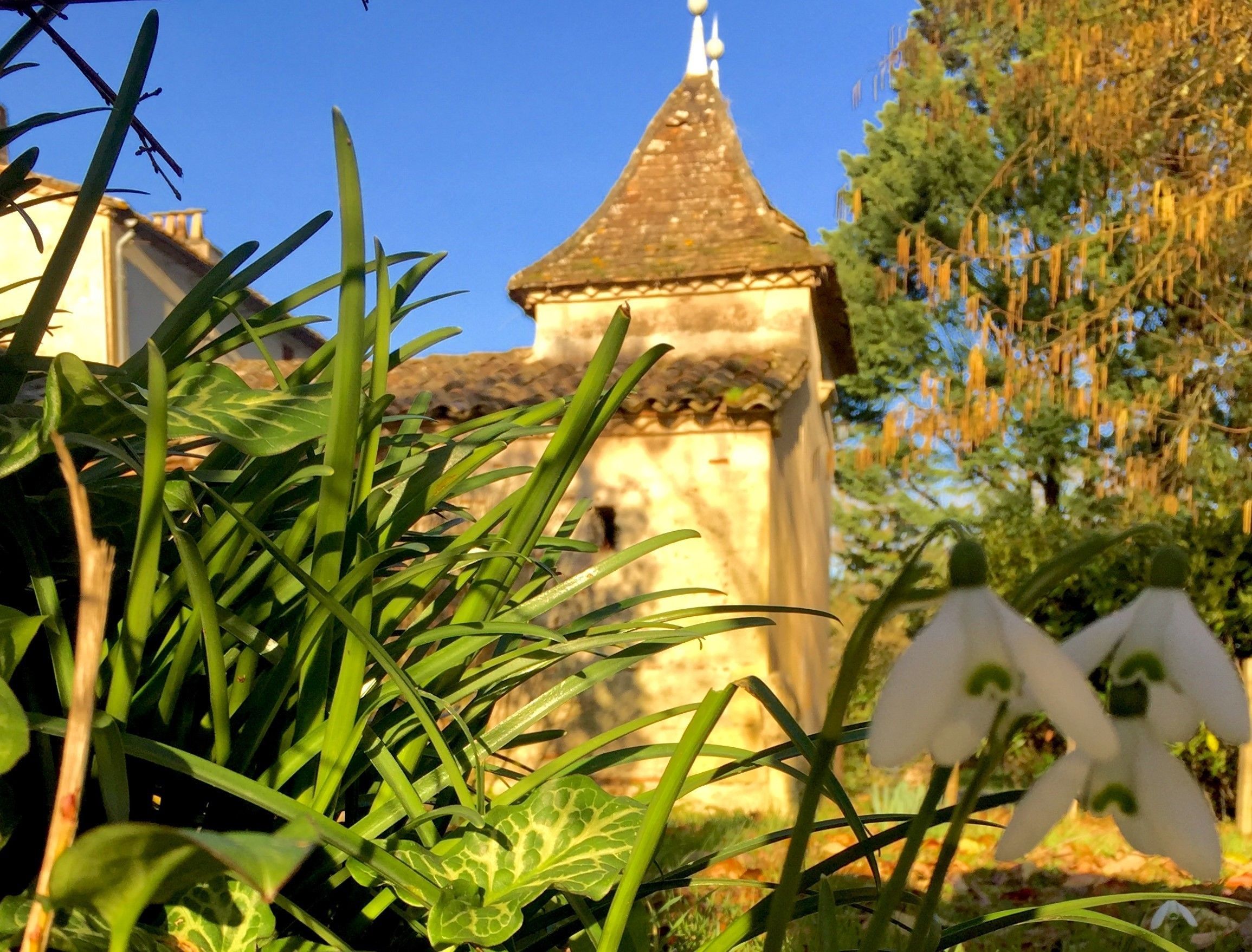 A building with a pointed roof and a small tower, surrounded by greenery and a clear blue sky.