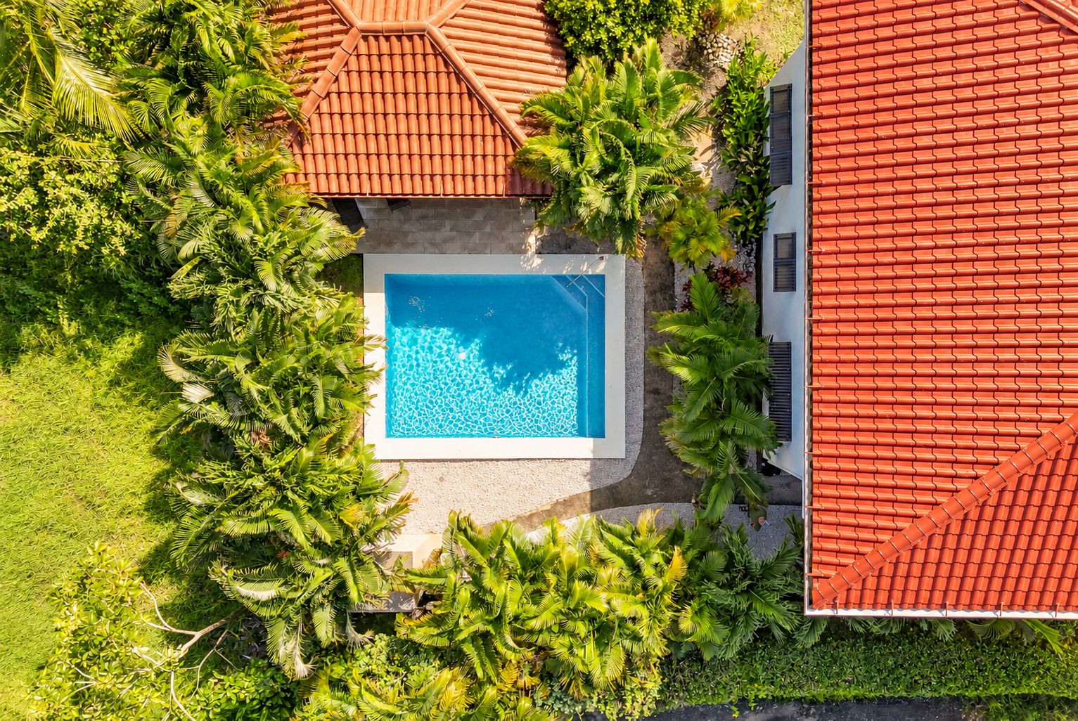 An aerial view of a property with a swimming pool surrounded by lush greenery and a red-tiled roof.