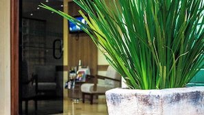 Uma planta em vaso branco, com moldura de tijolos e azulejos verdes, colocada em área pavimentada com tijolos.