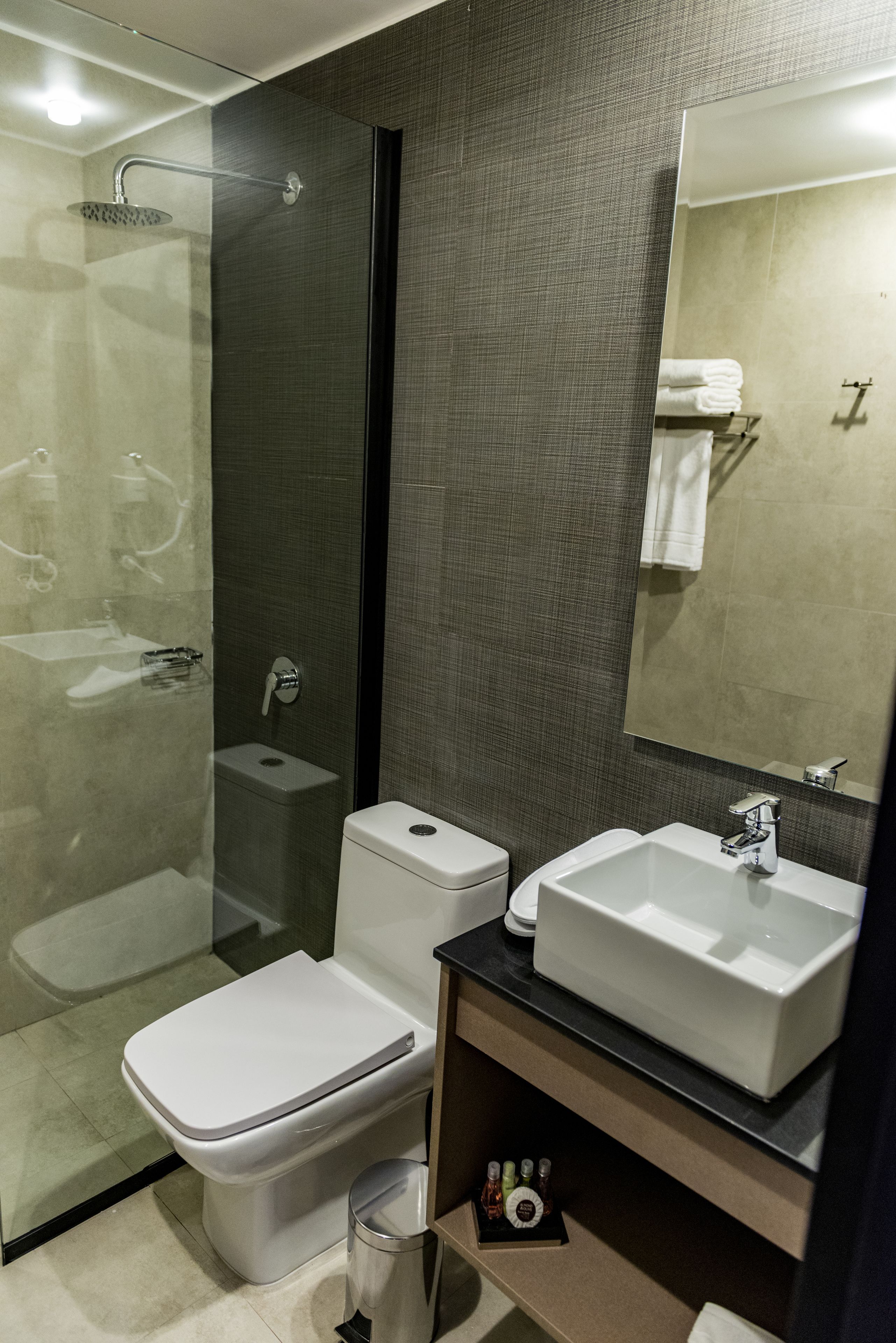 junior suite, 1 king bed | bathroom | shower, rainfall showerhead, free toiletries, hair dryer