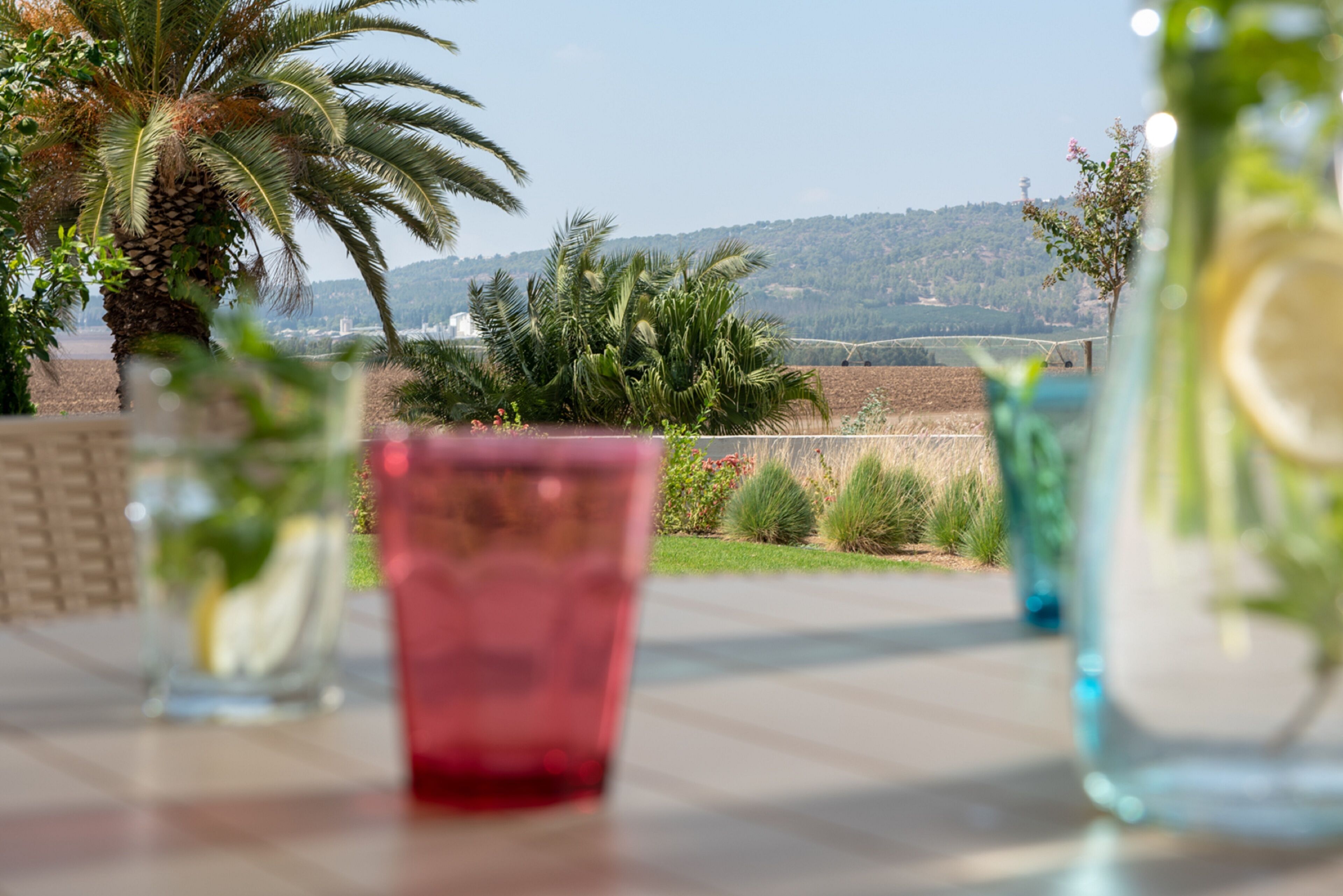 Une table avec un verre contenant une boisson rouge, un verre avec des tranches de citron et un verre avec des feuilles de menthe, le tout installé à l’extérieur, avec vue sur des collines et des palmiers.