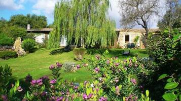 Giardino